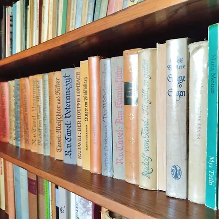 Schaermtanne Entire 15 Min To Interlaken * Aeschi Bei Spiez