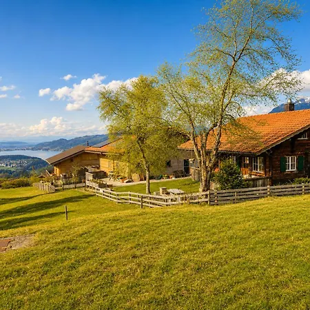 Apartament Schaermtanne Entire 15 Min To Interlaken *